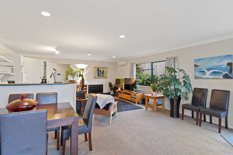 17b Scantlebury Street Tauranga South_6