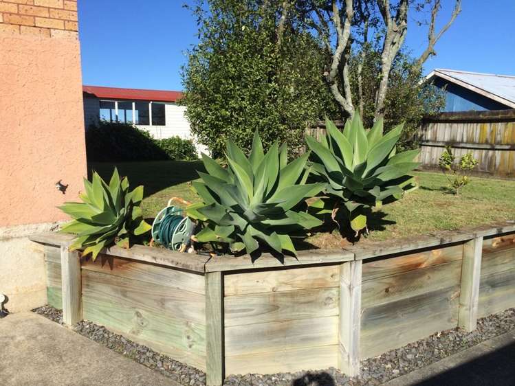 62b Rototuna Road Rototuna_2