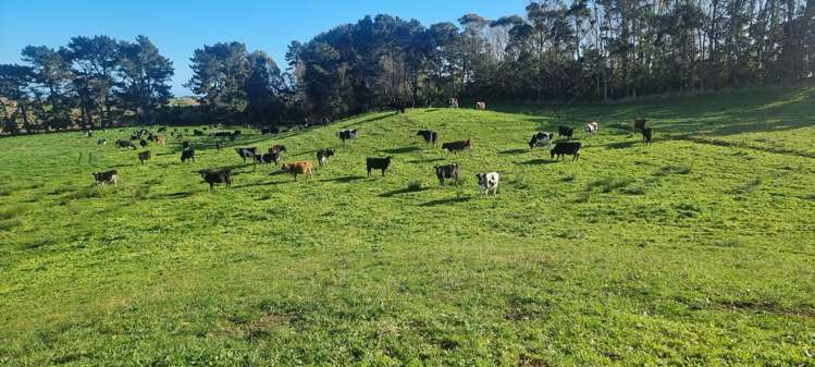 147A Papaitonga Lake Road_3