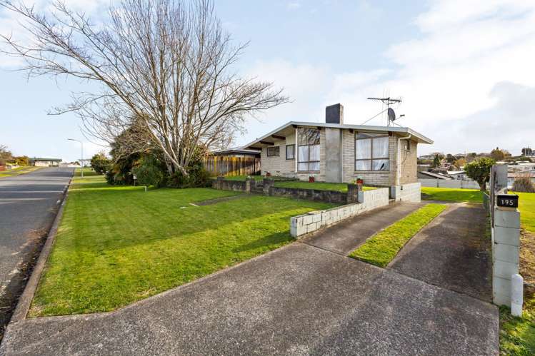 195 Colgan Street Te Awamutu_21