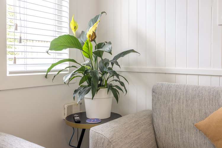 7 Surfdale Road Surfdale_9