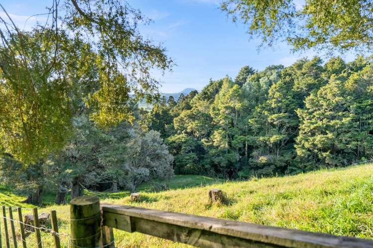 389A Crane Road Kauri_9