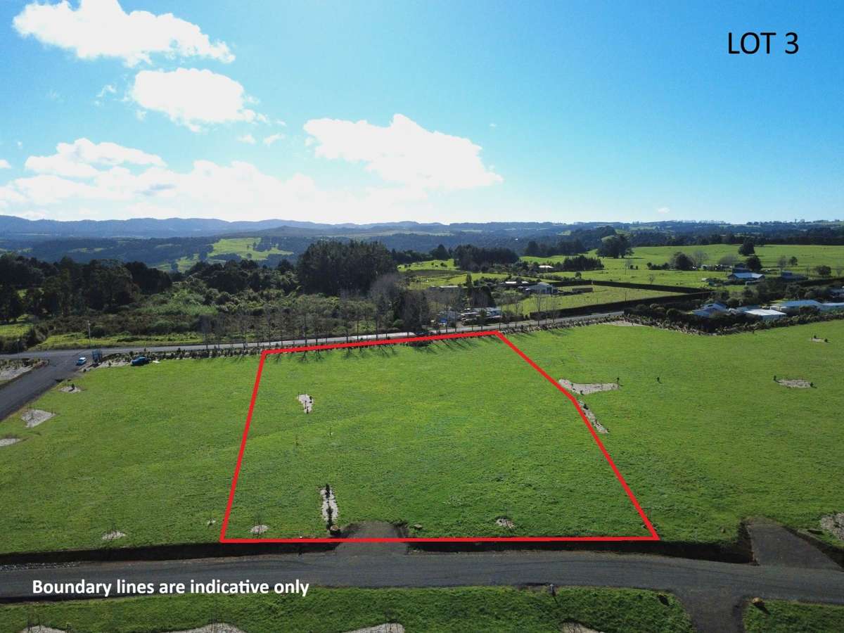 Toka Puia Waiare Road_2