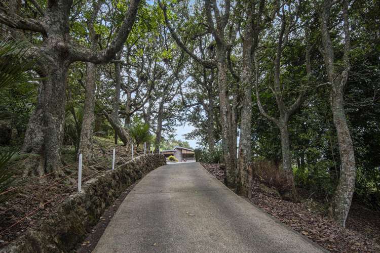 38c Tuatara Drive Kamo_31