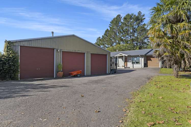 499 Wainui South Road Whakamarama_27