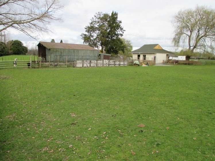 296a Pickering Road Tamahere_8