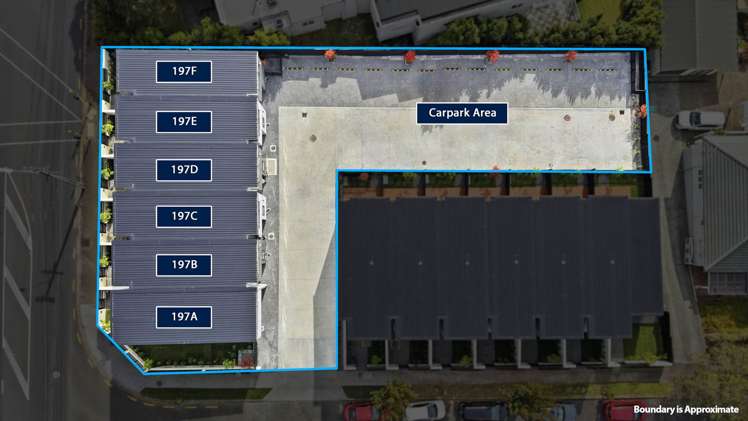 197 Campbell Road Greenlane_26