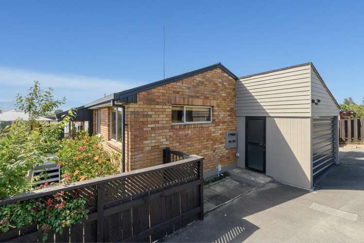 44A Whitaker Street Otumoetai_16