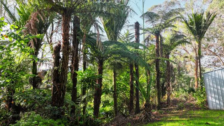 670 Oruru Road Peria_11