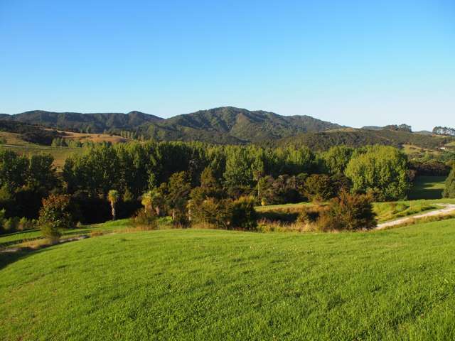 402b King Road Mangawhai_1