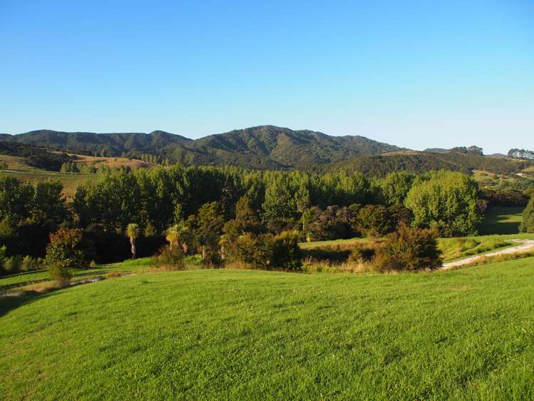 402b King Road Mangawhai_1