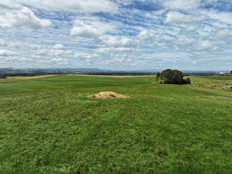 986 Downs Road South Edendale_8