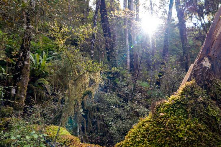 Four Rivers Highway Murchison_34