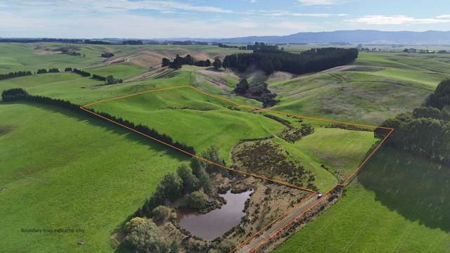 Equine, Grazing or Grand Design