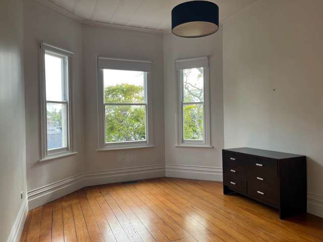 122 Williamson Avenue Grey Lynn_4