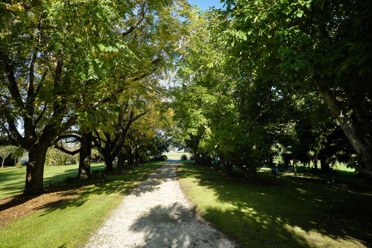 373 State Highway 1 Kaikoura_1