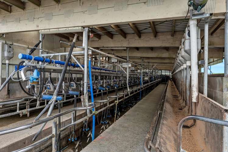 358 Opunake Road Cardiff_18