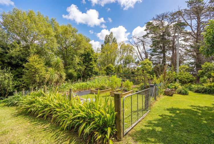 605 Whakapirau Road Whakapirau_13