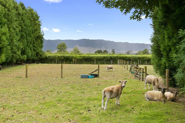 749 Tower Road Turangaomoana_16