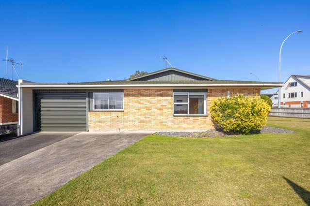 224A Peachgrove Road Claudelands_4