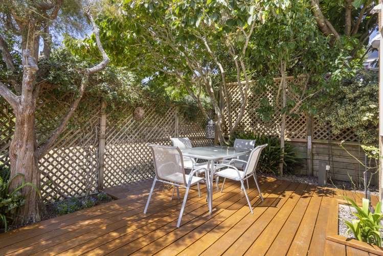 116 Frederick Street Hillsborough_8