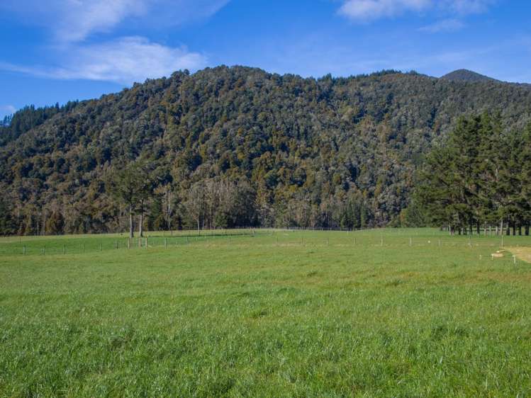 55 Maungatapu Road Rai Valley_2