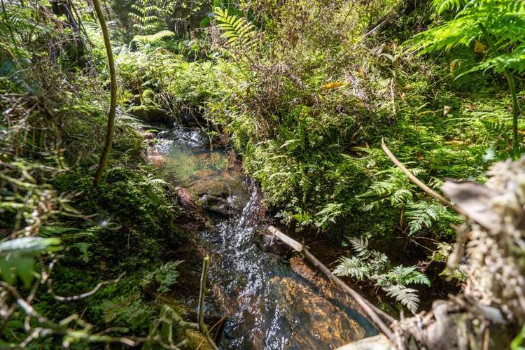 46 Cookson Road Kawakawa_33