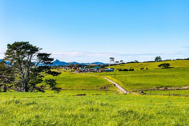 454 West Coast Road Te Kopuru_5