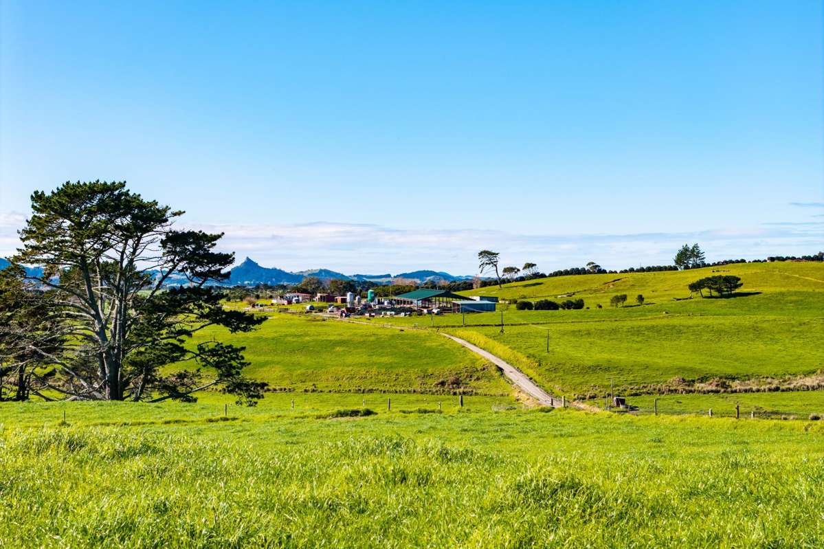 454 West Coast Road_1