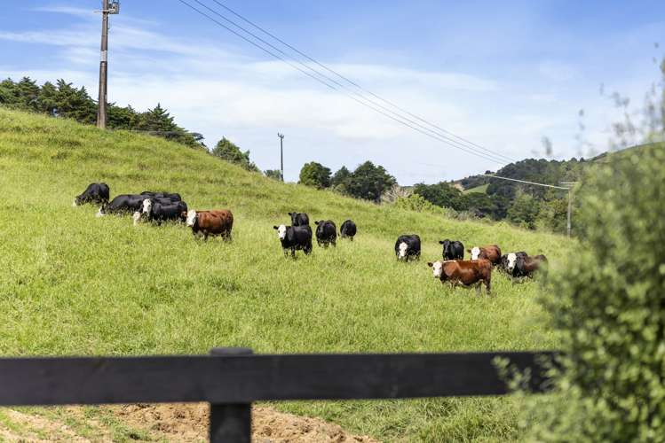 671 Weranui Road Puhoi_32