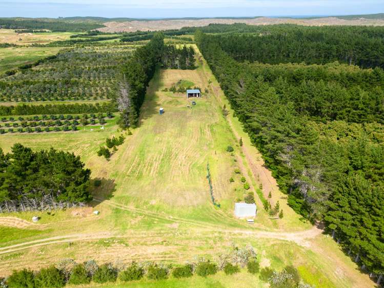 373 Kimberley Road Ngataki_5