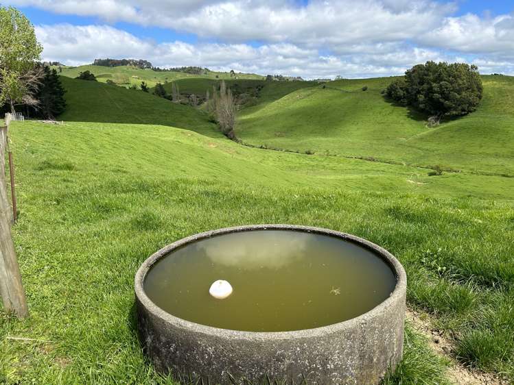 356 Lurman Road Otorohanga_8