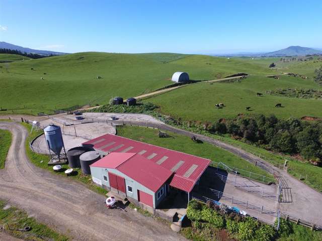 546 Ngutunui Road Otorohanga_2