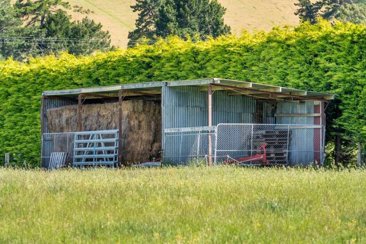 1944 State Highway 63 Wairau Valley_18