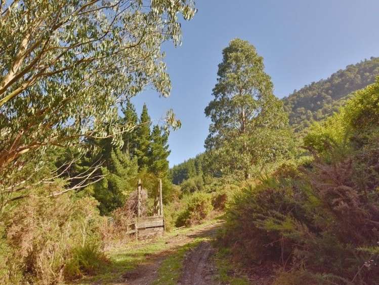 446 Glentui Bush Road Glentui_20