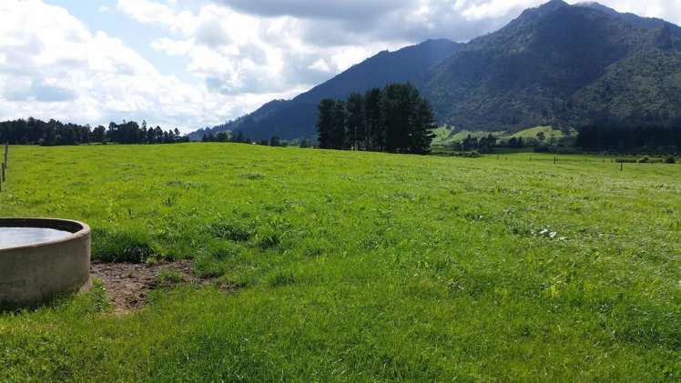 336 Te Aroha-Gordon Road Hauraki Surrounds_14