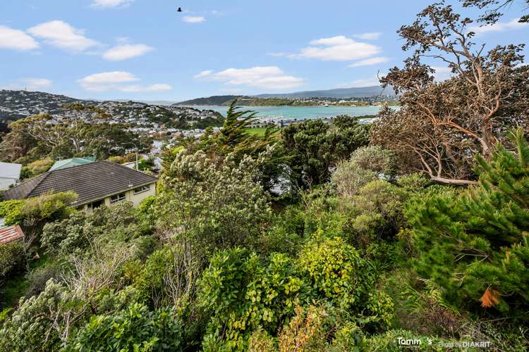 18 Colville Street Newtown_14