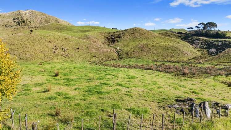 814 Awakau Road Mokau_9