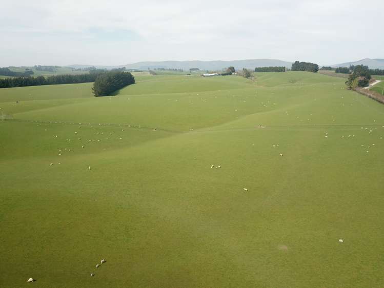 20 Carruthers Road Pomahaka_16