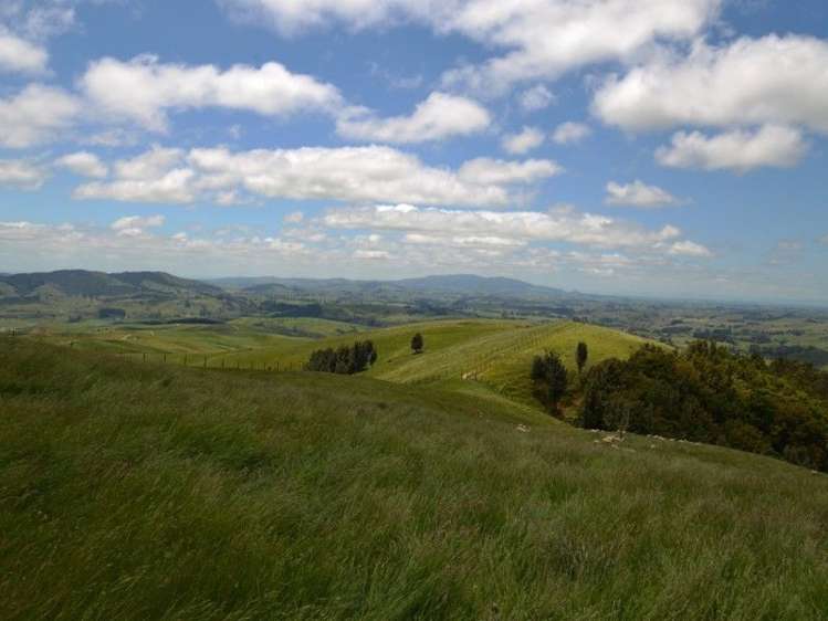 184 Grice Road Wharepuhunga_12