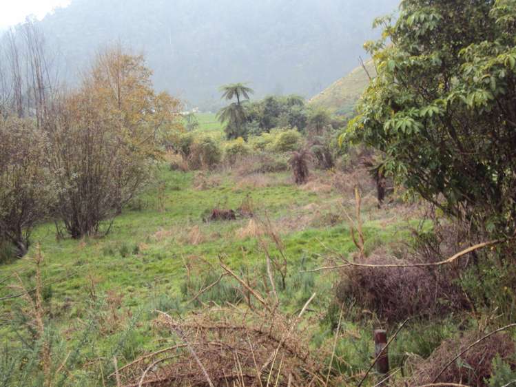 858 Shwy 67 Nikau Kahurangi National Park_11