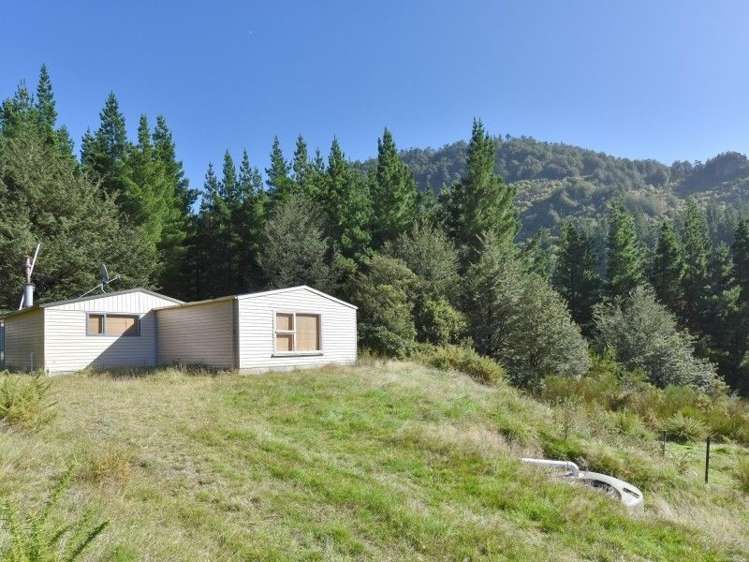 446 Glentui Bush Road Glentui_13