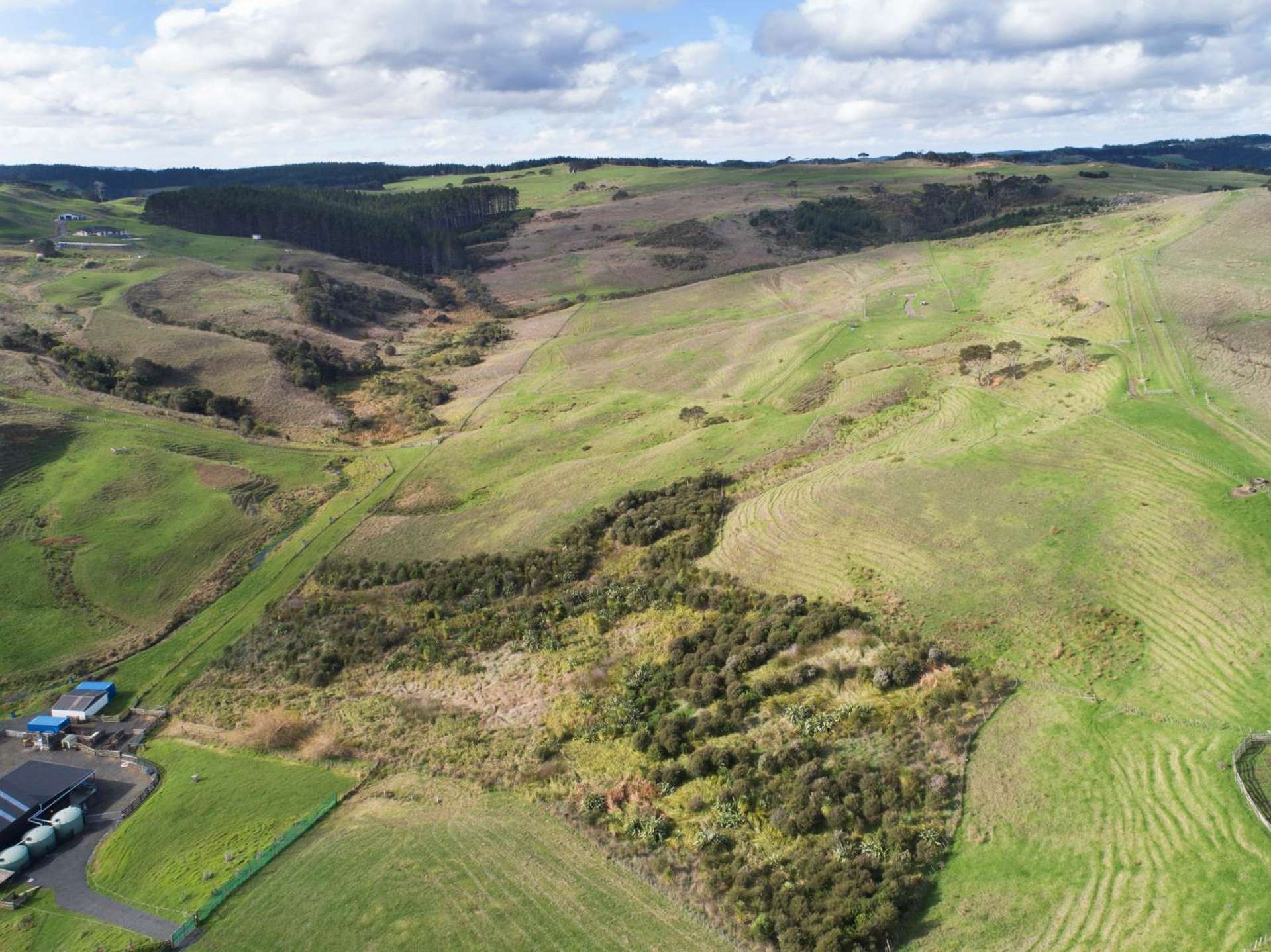 729 Peak Road Helensville_0