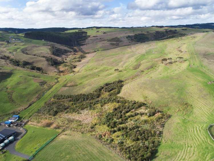 729 Peak Road Helensville_0