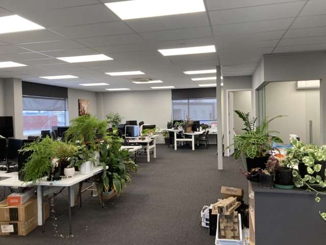 5A, 60 Hare Puke Drive Flagstaff_3