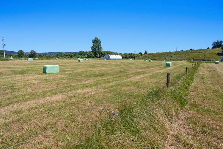 690 Taneatua Road Taneatua_10