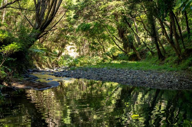 998 Thames Coast SH25 Road Thames_28