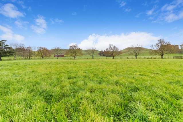 Exceptional Lifestyle Section