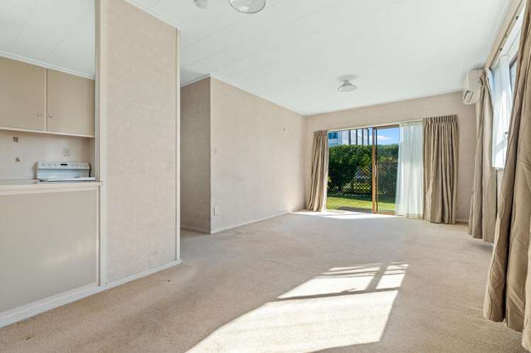 52d Third Avenue Tauranga Central_4