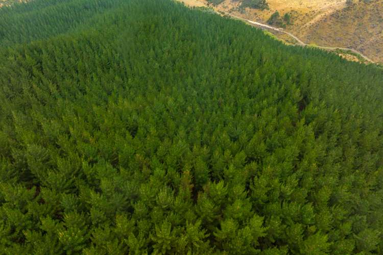 State Highway 63 Renwick_3